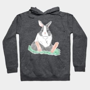 Dutch Bunny in the Park Hoodie